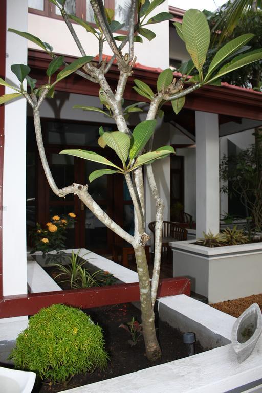 Hotel Aliya Lanka Beruwala Exterior foto